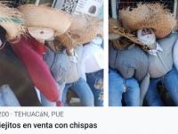 Viejitos desde 200 pesos