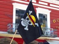 Bandera de One Piece
