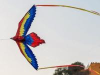 Volando tu imaginación reúne a infancias de Tzinacapan con papalotes